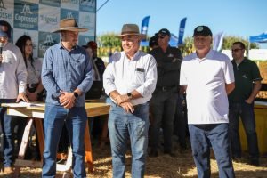 5B1773415900_muzbk5D