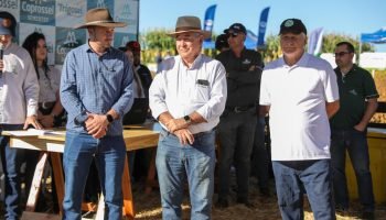 5B1773415900_muzbk5D