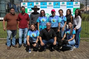 5B1776089125_yrpfh5D