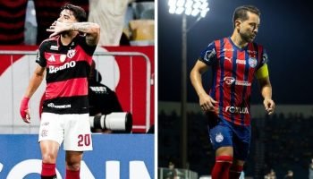 6656nj9mqah0z1sjmu0tvzo9b