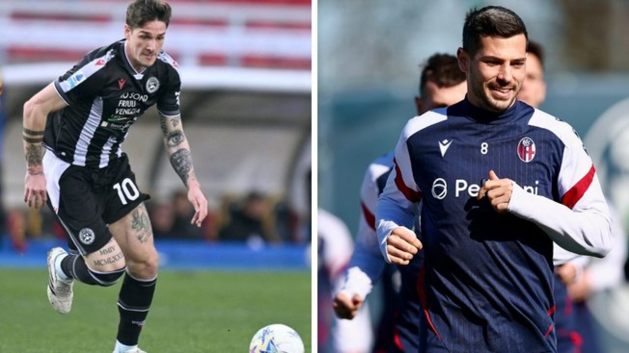 6jzzrqlbea55nm7lzc8sn0q6l