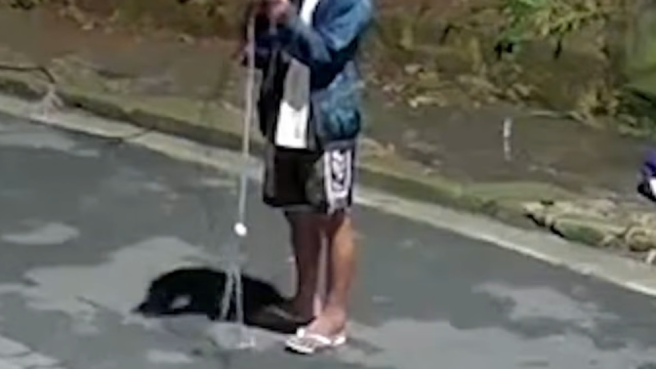 738303621_1374488361236066_6389259386109300272_n