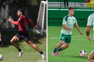 7ji8t4icktowk05z9lpy1zc4y