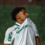 Palmeiras vence a Portuguesa em São Paulo — Foto: Divulgação/PalmeirasPalmeiras