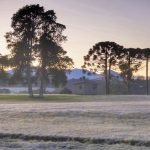 Tempo Frio em Campo (Foto: G+ Guarapuava)