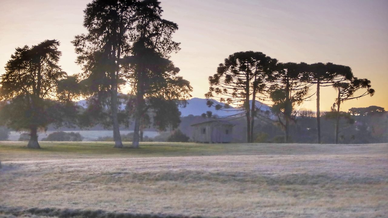 Tempo Frio em Campo (Foto: G+ Guarapuava)