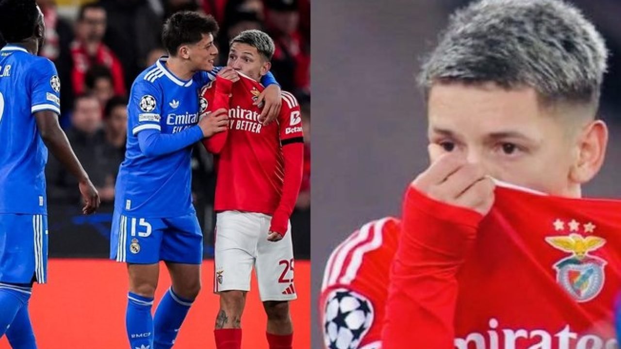 8ndsuyp5sixu8pqgohb4gz5mu