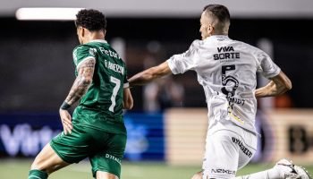 Palmeiras e Santos se enfrentam pelo Paulistão — Foto: Raul Baretta/ SantosAo vi