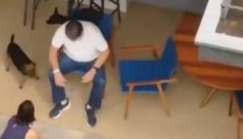 Captura-de-tela-2026-03-27-153306-300x132-1