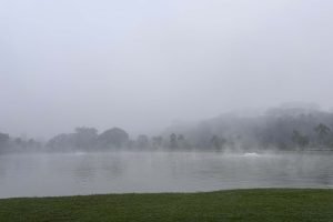 Curitiba.jpg