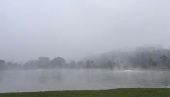 Curitiba.jpg