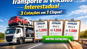 Guia completo de transporte por cegonha: tudo o que você precisa saber antes de