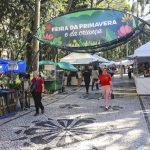 Feirinha-da-Primavera.jpg