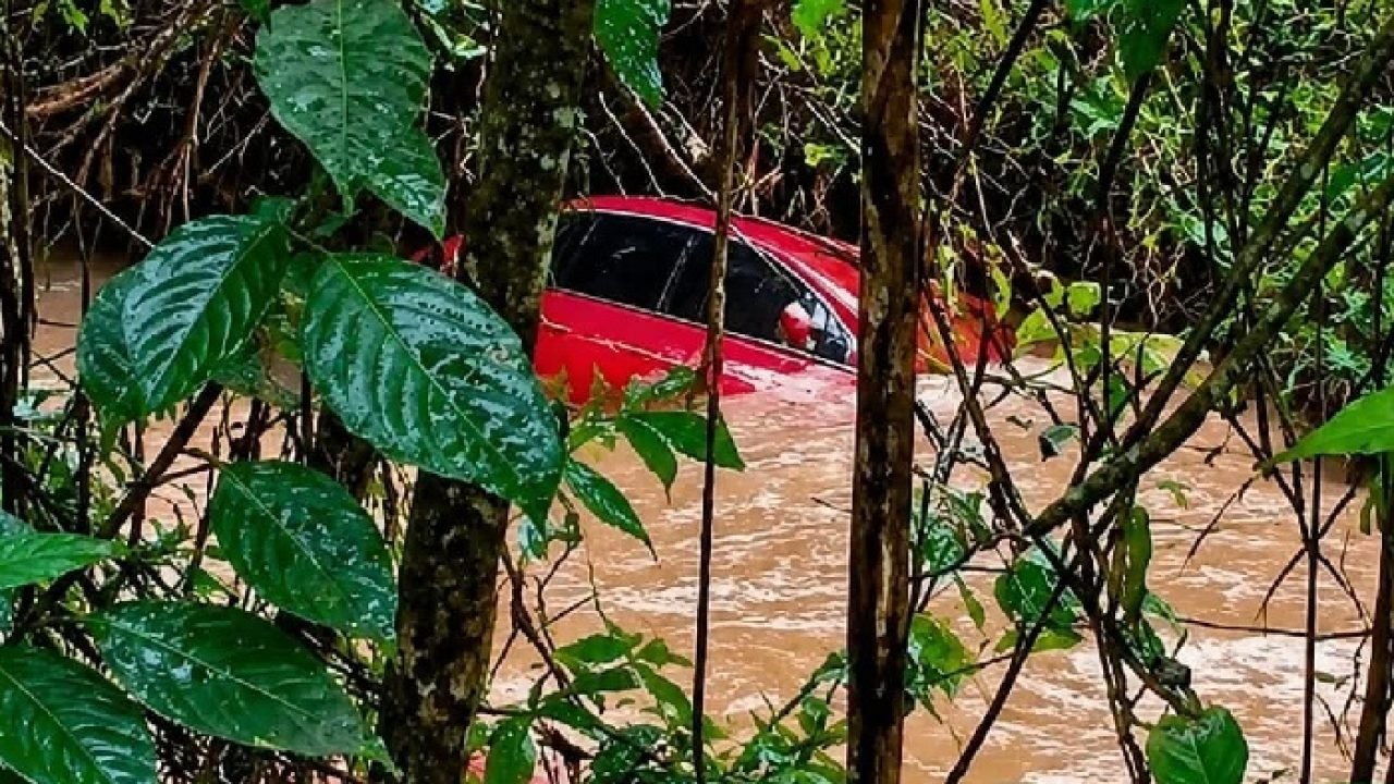 Fox-levado-pela-Chuva.jpg
