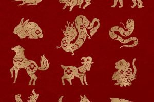 Horoscopo-Chines-63.jpg