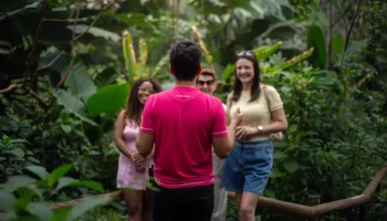 Parque das Aves em Foz do Iguaçu — Foto: H2FOZ