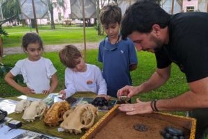 Projeto-Oncas-do-Iguacu-2-1024x557-1