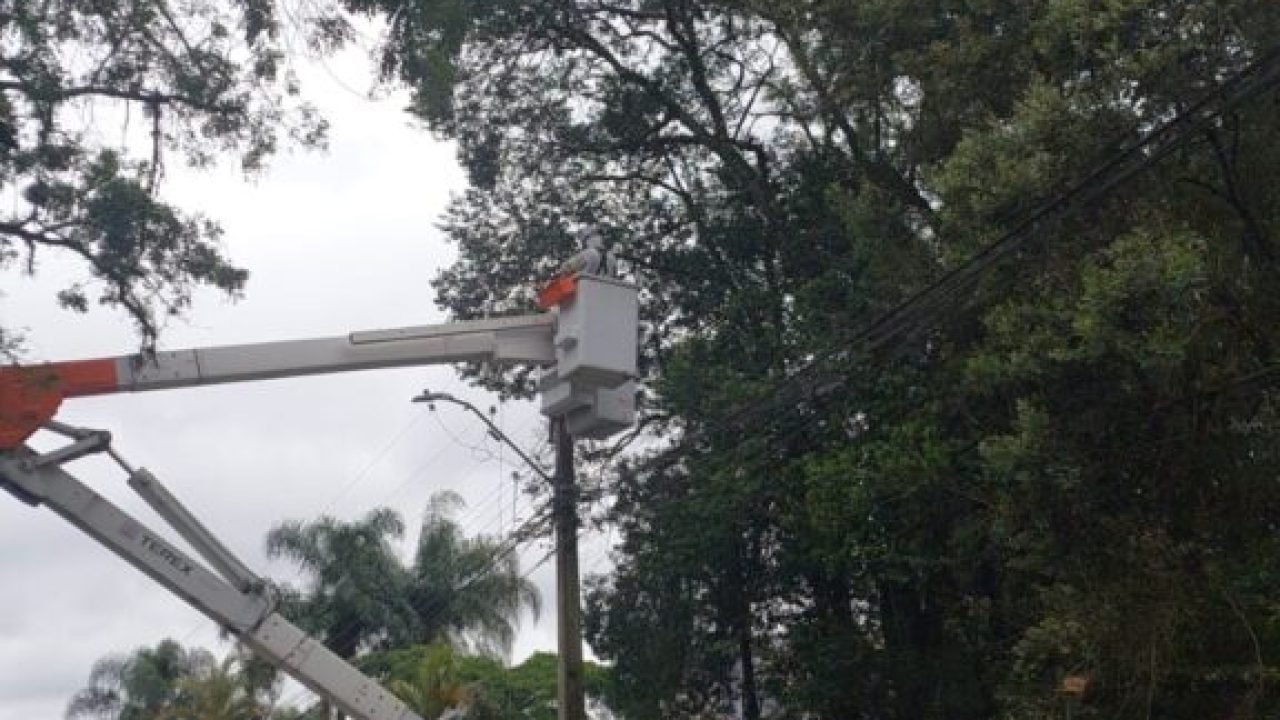 Remocao-de-arvore-576x1024.jpeg