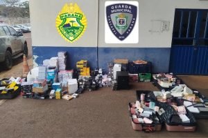 Apreensão de mercadorias contrabandeadas — Foto: Polícia Militar e Guarda Munici