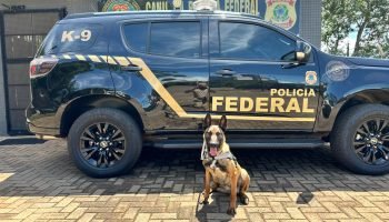Solenidade marca chegada de novo cão ao Canil Regional da Polícia Federal em Gua