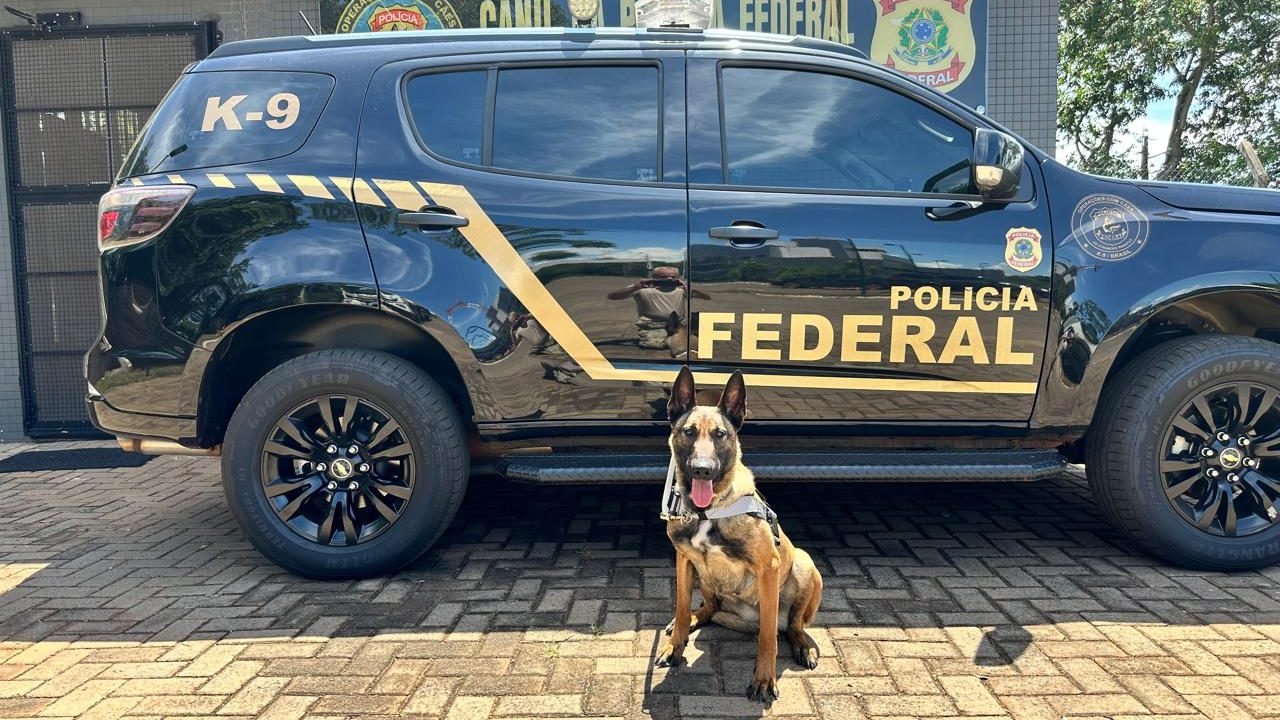 Solenidade marca chegada de novo cão ao Canil Regional da Polícia Federal em Gua