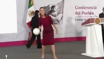 Foto: Jornalista cai de cara no chão ao tentar pegar bola lançada pela president