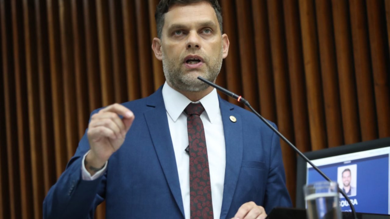 Imagem sugerida — Foto: Deputado Goura