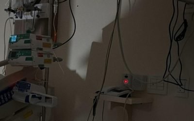 a5ruet29wwhe48kbg0n3vbksl