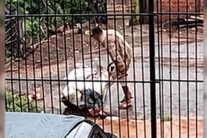 abandonada-em-saco006768050202610121526.png