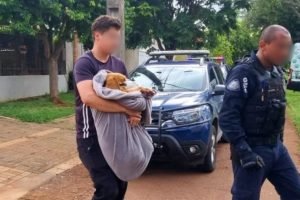 Foto: O homem é suspeito de abusar sexualmente do Beagle, que foi levado a uma c