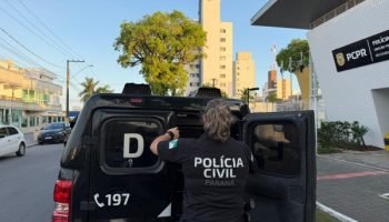 Foto da Polícia Civil — Foto: Governo do Paraná