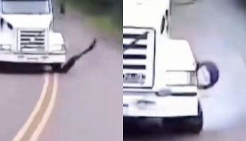 Acidente entre caminhões foi na PR-545, em Londrina — Foto: Acidente entre camin