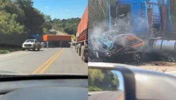 Foto: Foto: Colaboração/Rede Massa