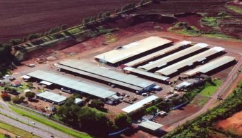 Foto: Governo do Paraná