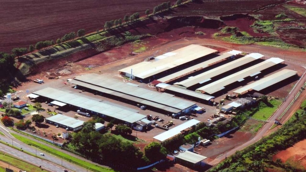 Foto: Governo do Paraná