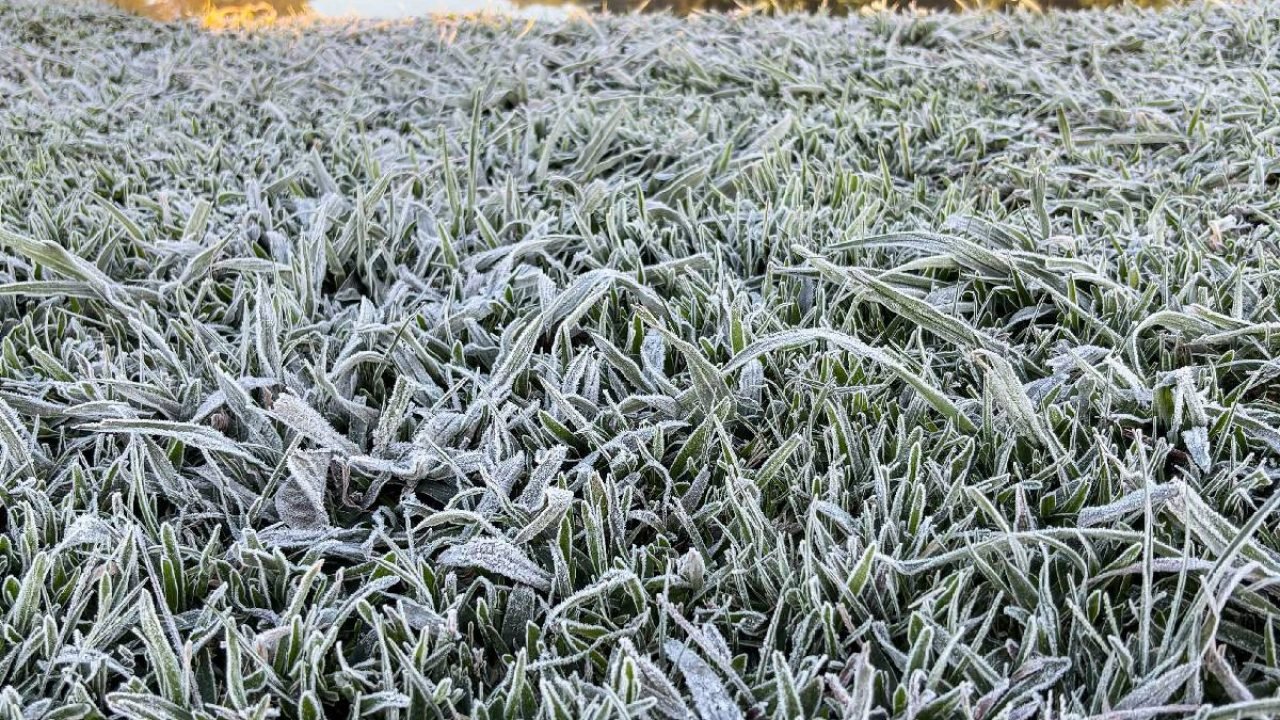 Foto: O fenômeno ocorre quando há a atuação de uma massa de ar polar associada a
