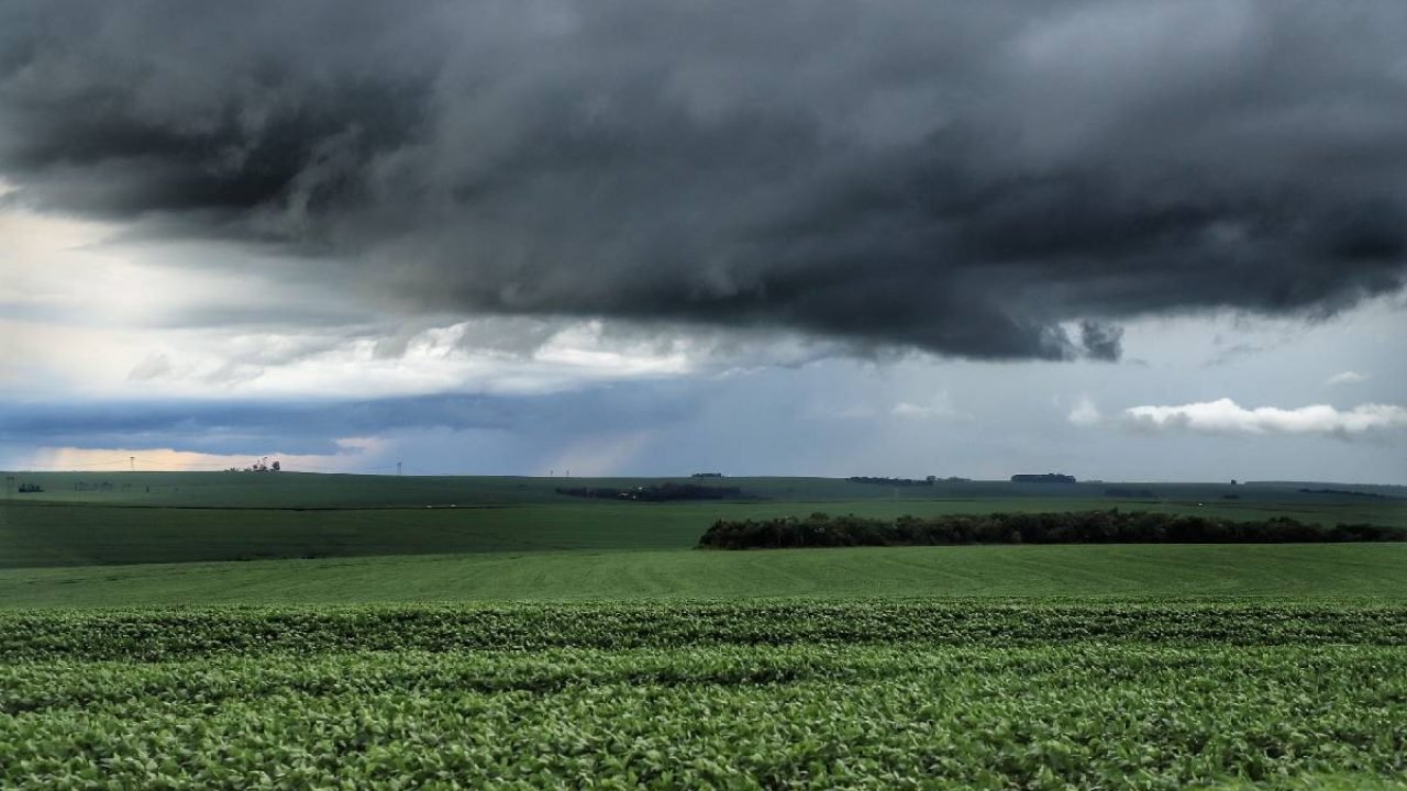 Tempestade no Paraná — Foto: Foto: Arquivo/IDR-PR