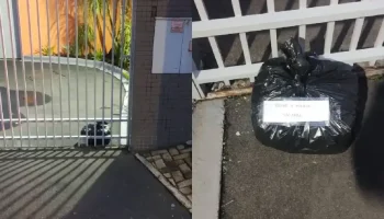 O material foi neutralizado em segurança. — Foto: O material foi neutralizado em