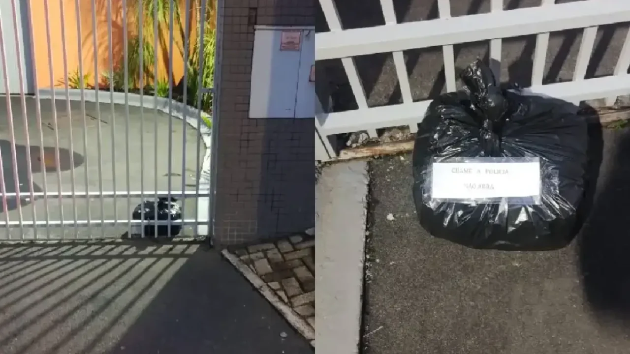 O material foi neutralizado em segurança. — Foto: O material foi neutralizado em