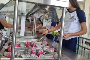 Foto: Governo do Paraná