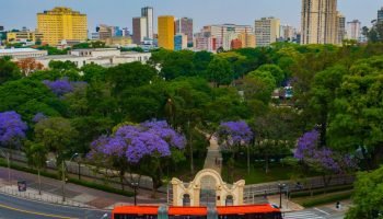 Foto: Foto: Prefeitura de Curitiba