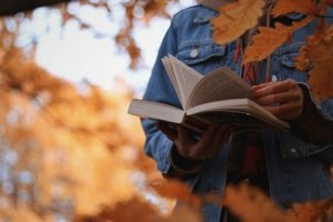 Foto: 1 de 1 anotherxlife-q8wryrjs9gc-unsplash - Foto: anotherxlife/Unsplash
