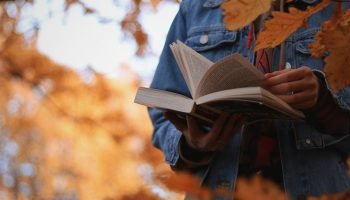Foto: 1 de 1 anotherxlife-q8wryrjs9gc-unsplash - Foto: anotherxlife/Unsplash