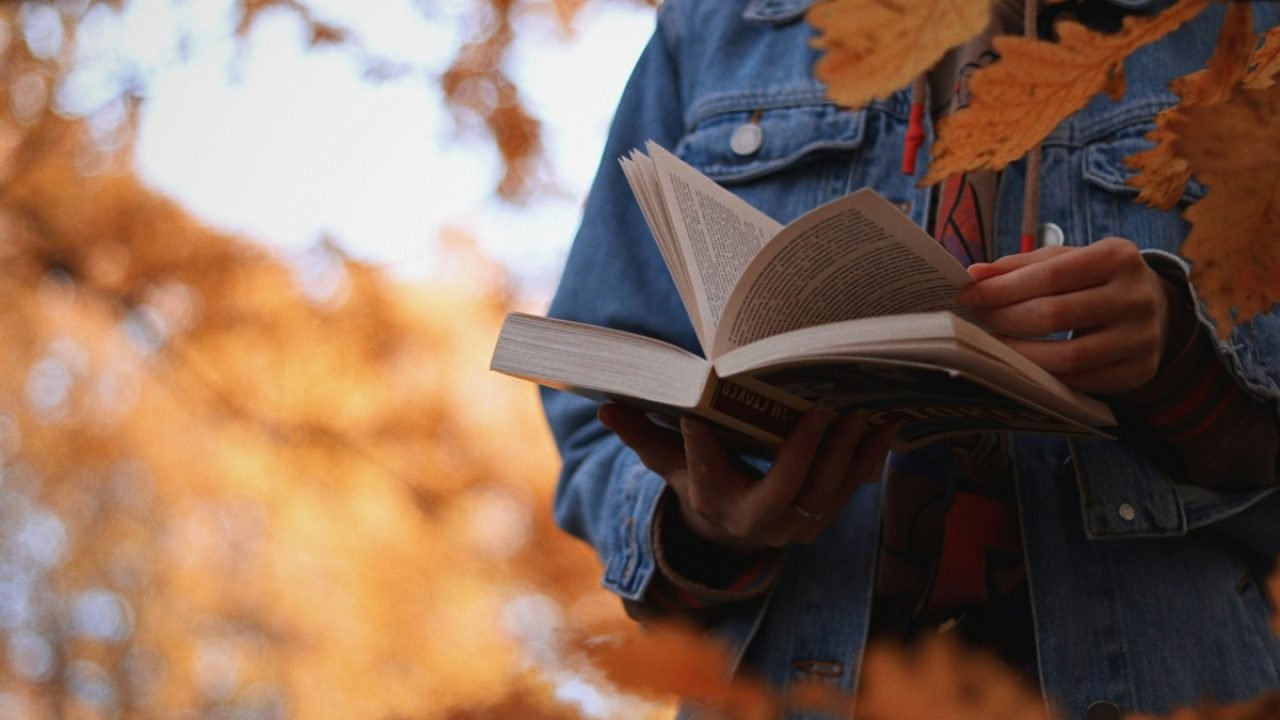 Foto: 1 de 1 anotherxlife-q8wryrjs9gc-unsplash - Foto: anotherxlife/Unsplash