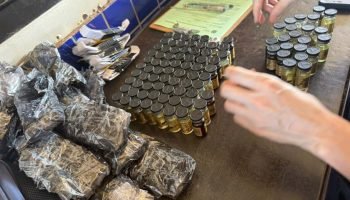 apreensao-nabolizantes-2