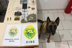 Foto: Governo do Paraná