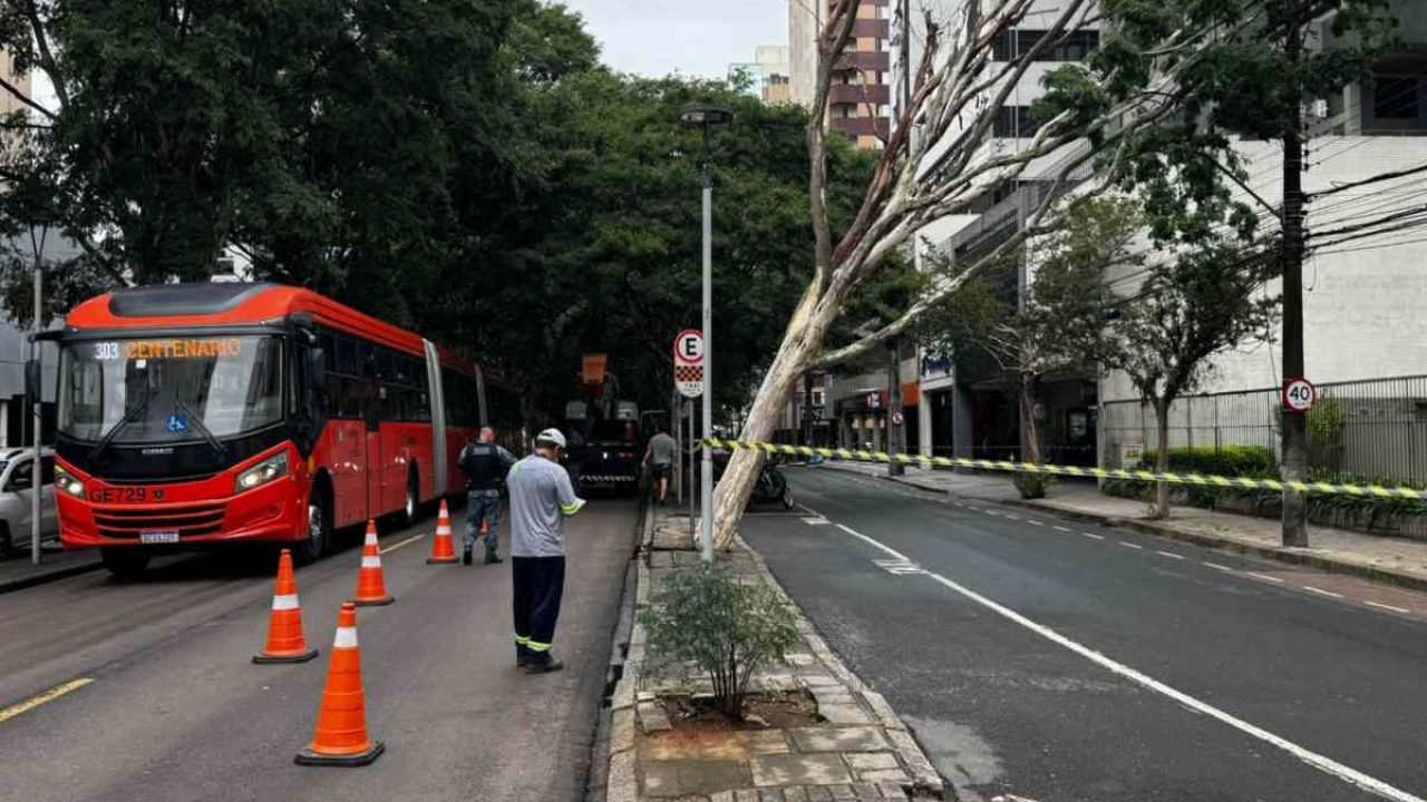 Árvore atingiu fiação na Rua Padre Anchieta — Foto: Árvore atingiu fiação na Rua