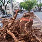 Onda de calor no Brasil — Foto: H2FOZ