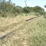 Foto: Um homem de aproximadamente 40 anos morreu após ser atingido por um trem n