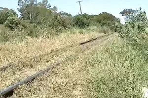 Foto: Um homem de aproximadamente 40 anos morreu após ser atingido por um trem n